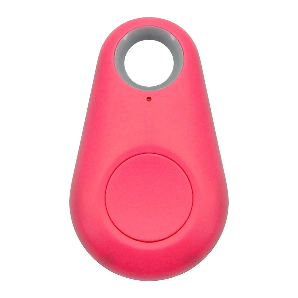 Pet Smart GPS Tracker