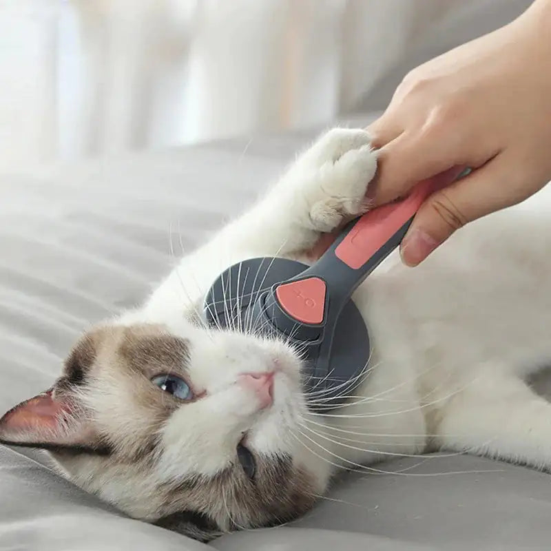 Anti-Hair Brush for Cats